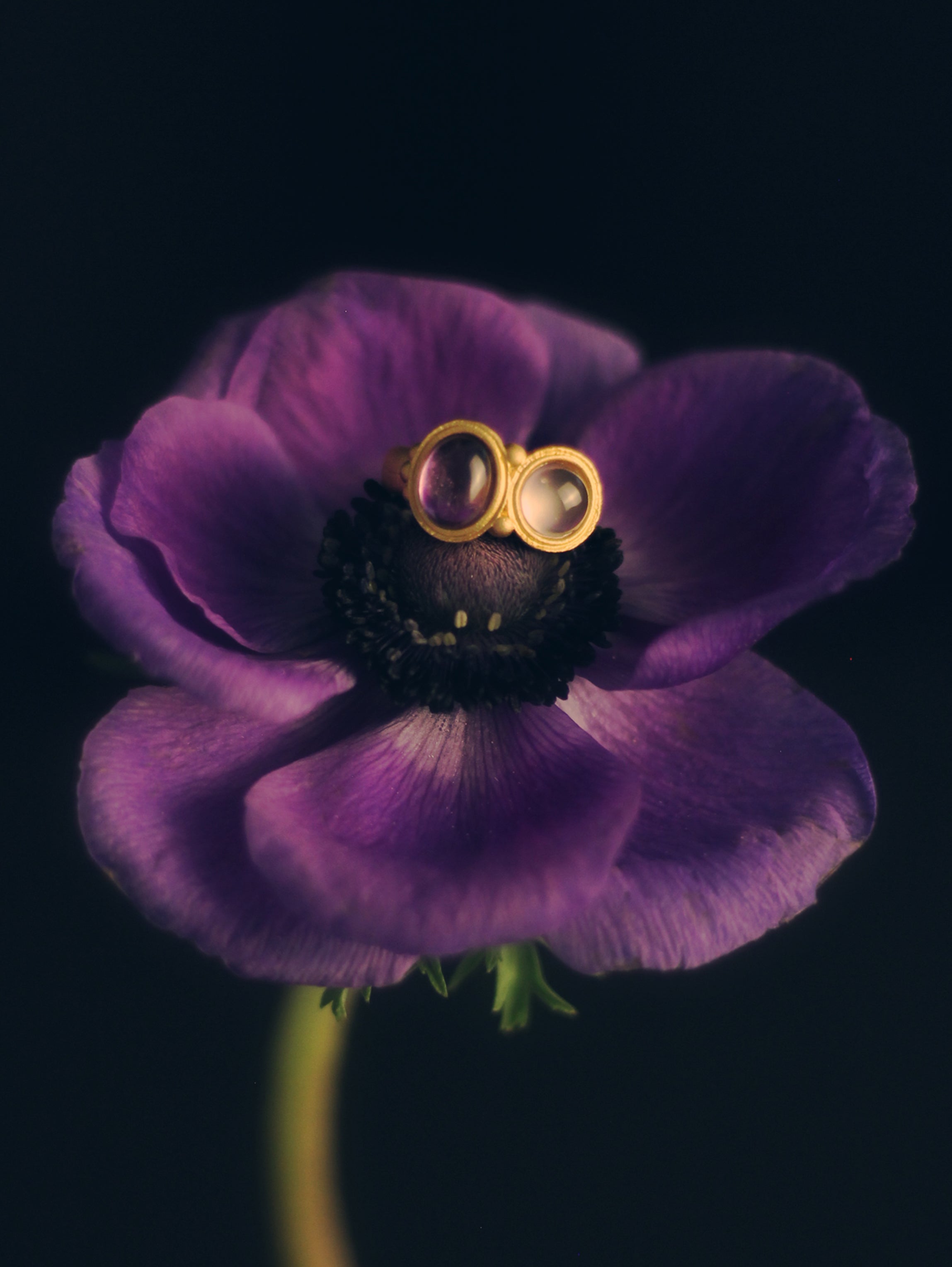 Amethyst and Rose Quartz – Morgana Sanderson